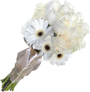 White Gerbera and Roses